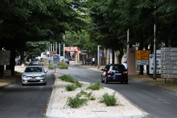 U Trebinju danas maksimalna temperatura oko 32 stepena