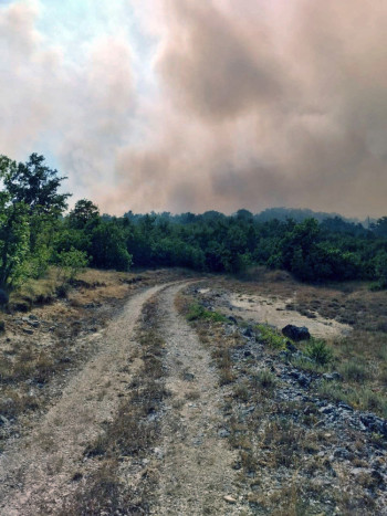 Пожар у Берковићима под контролом