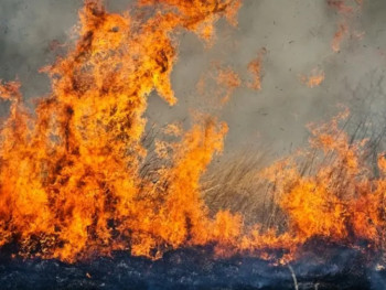 Požari u Trebinju i dalje aktivni