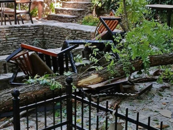Trebinje: Velika grana se obrušila na baštu ugostiteljskog objekta, srećom nema posljedica