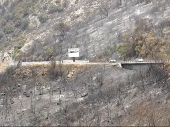 Пожари у Црној Гори: Стање се погоршало у Никшићу, ангажована помоћ из ваздуха