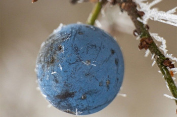 Vjerovali ili ne: U jednom mjestu u BiH jutros bilo minus jedan