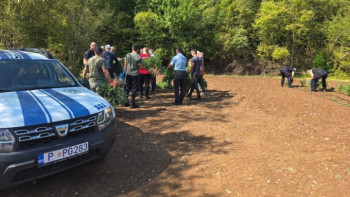 Otkrivena najveća plantaža marihuane u Crnoj Gori, zaplijenjeno 13.000 sadnica