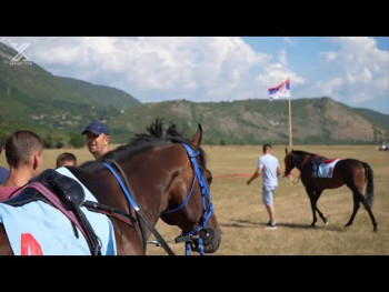 Jedanaeste konjičke trke 