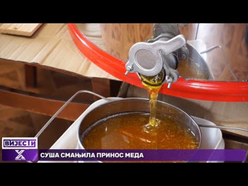 Suša i požari smanjili prinos meda u Hercegovini (Video)