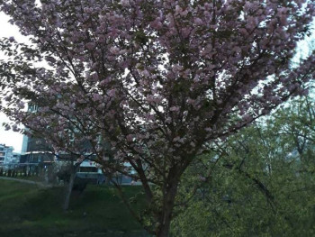 Kiša u većini predjela