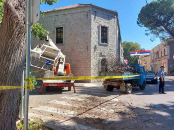 Dva radnika prilikom čišćenja stabala u Trebinju ispala iz korpe – Hitno prevezeni u bolnicu