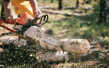 TRAGEDIJA: Poginuo Nevesinjac tokom sječe šume