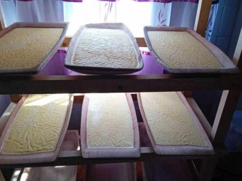 Gatački kajmak iz mješine korak bliže da bude zaštićen proizvod na prostoru EU (VIDEO)