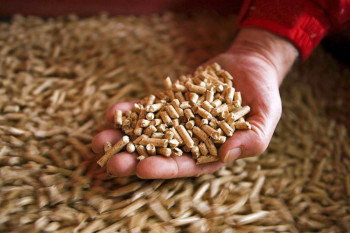 Da li će poskupjeti pelet?