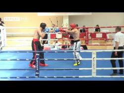 Reportaža: Kik boks - Državno prvenstvo BiH - Foča 2017. godine (VIDEO)