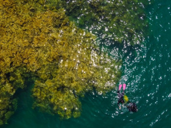 Planeta dosegla prvu klimatsku prekretnicu