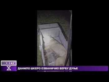 U Derventi hapšenje 15 lica zbog ilegalne borbe pasa – pronađeni narkotici i veća količina novca (Video)