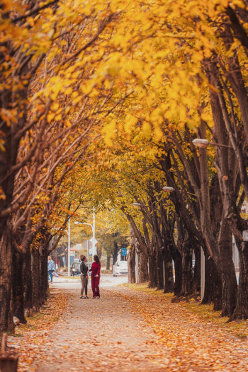 Danas još toplije, temperatura do 24 stepena