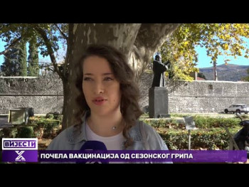 Anketa: Kako Trebinjci vide život sa internetom i bez njega (Video)