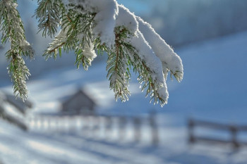 Šta znači ako baš za Aranđelovdan padne snijeg?