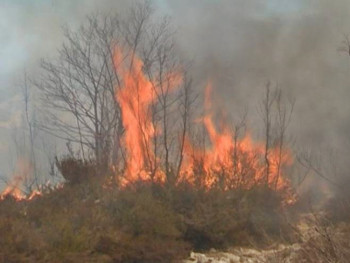 Gorjelo nisko rastinje u Gacku, objekti spaseni u zadnji čas
