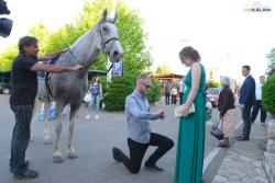 Vjeridba kao iz bajke u Bijeljini: Mladić dojahao na konju i zaprosio djevojku