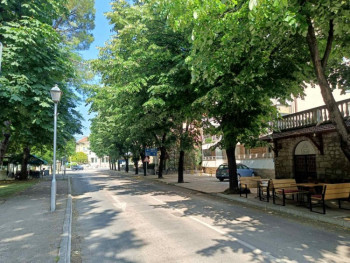 Trebinje dobija novo zelenilo: U planu sadnja 500 košćela