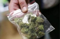 Na graničnom prelazu Vraćenovići prekinut lanac krijumčarenja skanka za BiH