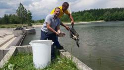 Невесиње: Спортски риболовци извршили порибљавање језера Алаговац
