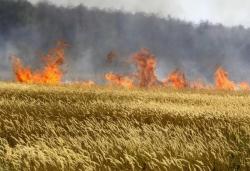 Под контролом пожар у мјесту Липник код Гацка
