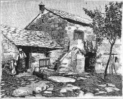 ЖИВОТНЕ ПРИЧЕ ИЗ ХЕРЦЕГОВИНЕ: Ђед који је чувао карпузу