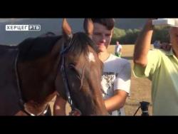 Konjičke trke Bileća 2017: Pobjednik Rifat Kumalić iz Sanskog Mosta (VIDEO)