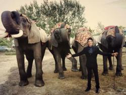Slonovi kao najbliži članovi porodice (VIDEO)
