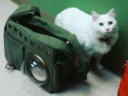 Изум који је одушевио власнике кућних љубимаца