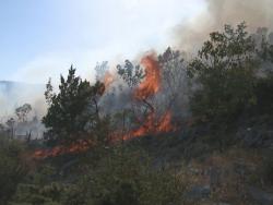 I dalje aktivan požar između Tulja i Mrkonjića