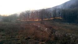 U Hercegovini i dalje gori, požar na Snježnici se širi