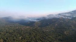 Гацко: Вјетар распламсао пожар на планини Баба