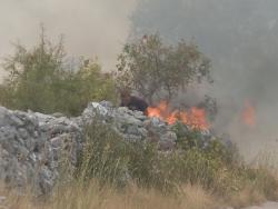 U Trebinju i Bileći sela odbranjena od požara