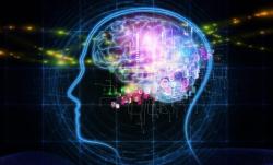 Kako čuvanje tajne utiče na mozak?