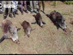 Tradicionalnim druženjem lovaca otvorena lovna sezona u Nevesinju (VIDEO)