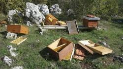 Pčelaru sa Ljubomira medvjed uništio košnice i pojeo med