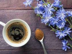 Ova biljka može da zamijeni kafu, a uz to je vrlo zdrava