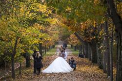 Јесен у Истанбулу: Парк стабала одмор за тијело и душу