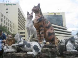 Малезијски град опсједнут мачкама