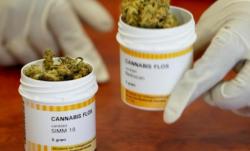 Potvrdili: Medicinska marihuana nema štetnih posljedica na zdravlje