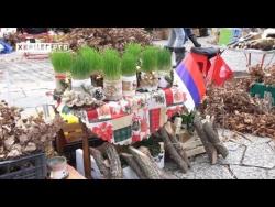 Umjesto u šumu, po badnjak sve češće na pijacu (VIDEO)