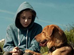 У Бразилу више паса него дјеце