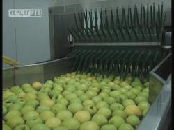 Glas Hercegovine (VIDEO)