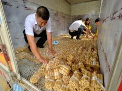 Платио аутомобил тонама кованица